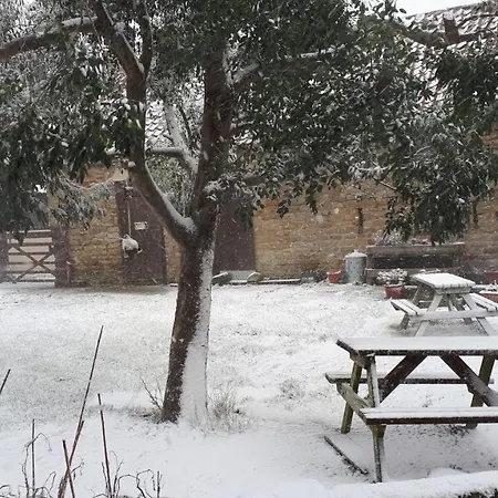 Dom wakacyjny Lavender